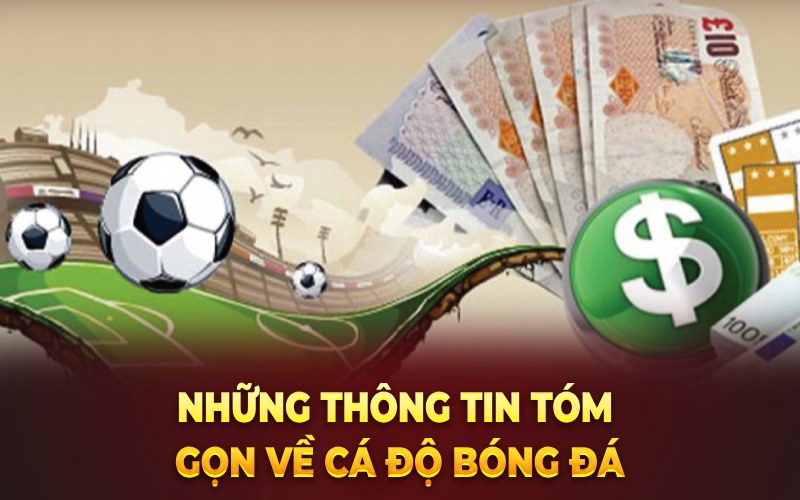 Những thông tin tóm gọn về cá độ bóng đá